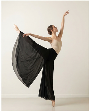 DS5005MESH Wide pants, mesh